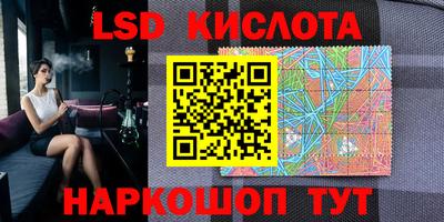 прущие грибы Тула