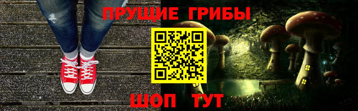 Галлюциногенные грибы Cubensis  Псилоцибиновые грибы MAGIC MUSHROOMS  как найти закладки  Петропавловск-Камчатский  Вход с VPN 