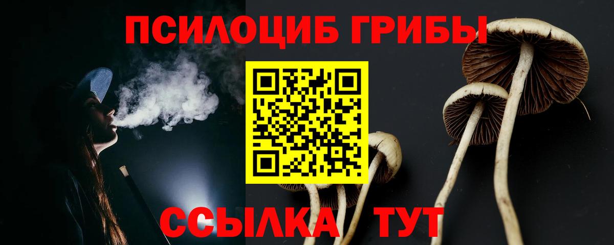 Галлюциногенные грибы GOLDEN TEACHER Петропавловск-Камчатский